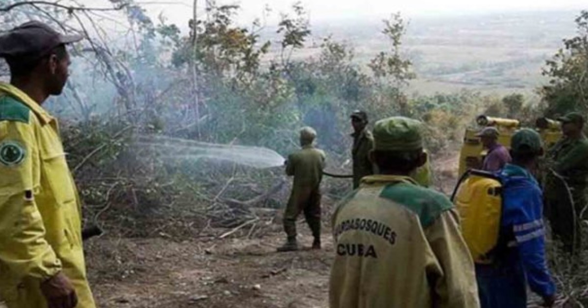 Sofocado Incendio Forestal De Grandes Proporciones En Pinar Del R O